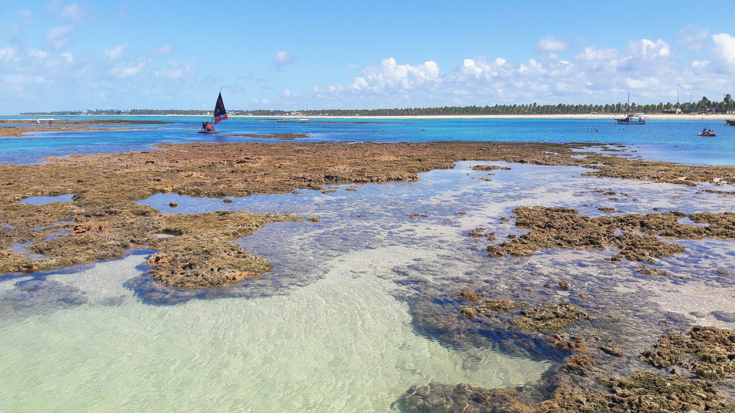 Como ler a tábua de maré em Porto de Galinhas e planejar sua viagem