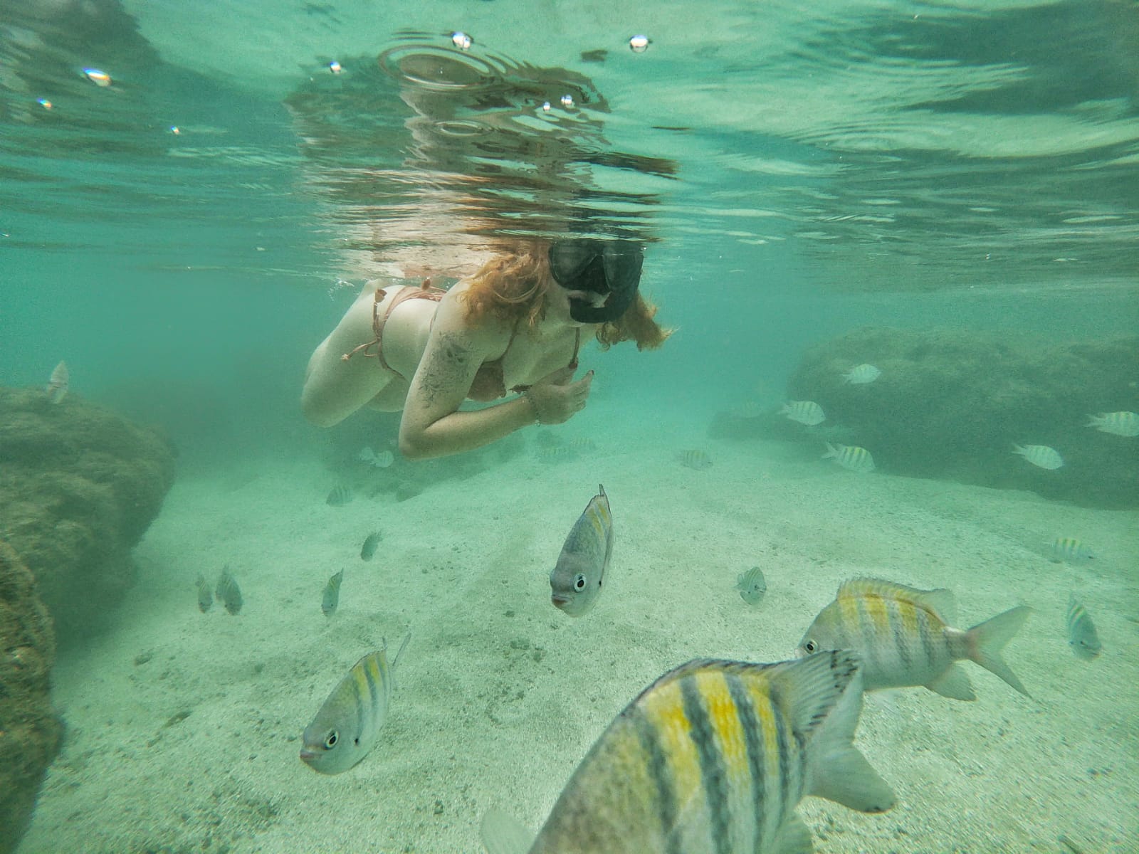 Mergulho em Porto de Galinhas [FAQ]